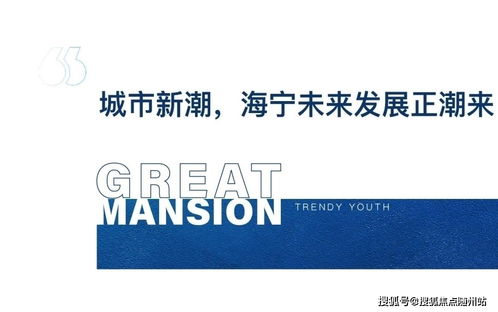 海寧2021網(wǎng)絡(luò)安全事件 官方緊急響應(yīng)與軟件開(kāi)發(fā)新動(dòng)向